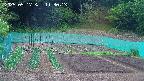 kannonmori-20250517113015.jpg