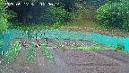 kannonmori-20250517120016.jpg