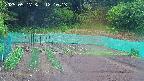 kannonmori-20250517121015.jpg
