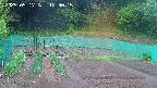 kannonmori-20250517123017.jpg