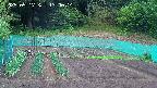 kannonmori-20250517130016.jpg