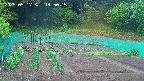 kannonmori-20250517145016.jpg