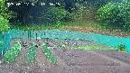 kannonmori-20250517152016.jpg