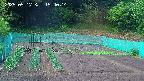 kannonmori-20250517154016.jpg