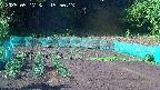 kannonmori-20250517155015.jpg
