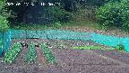 kannonmori-20250517160014.jpg