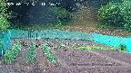 kannonmori-20250517181016.jpg