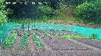 kannonmori-20250517182015.jpg