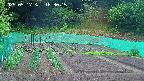 kannonmori-20250517183017.jpg