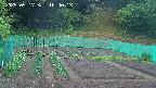 kannonmori-20250517184015.jpg