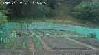kannonmori-20250517190016.jpg
