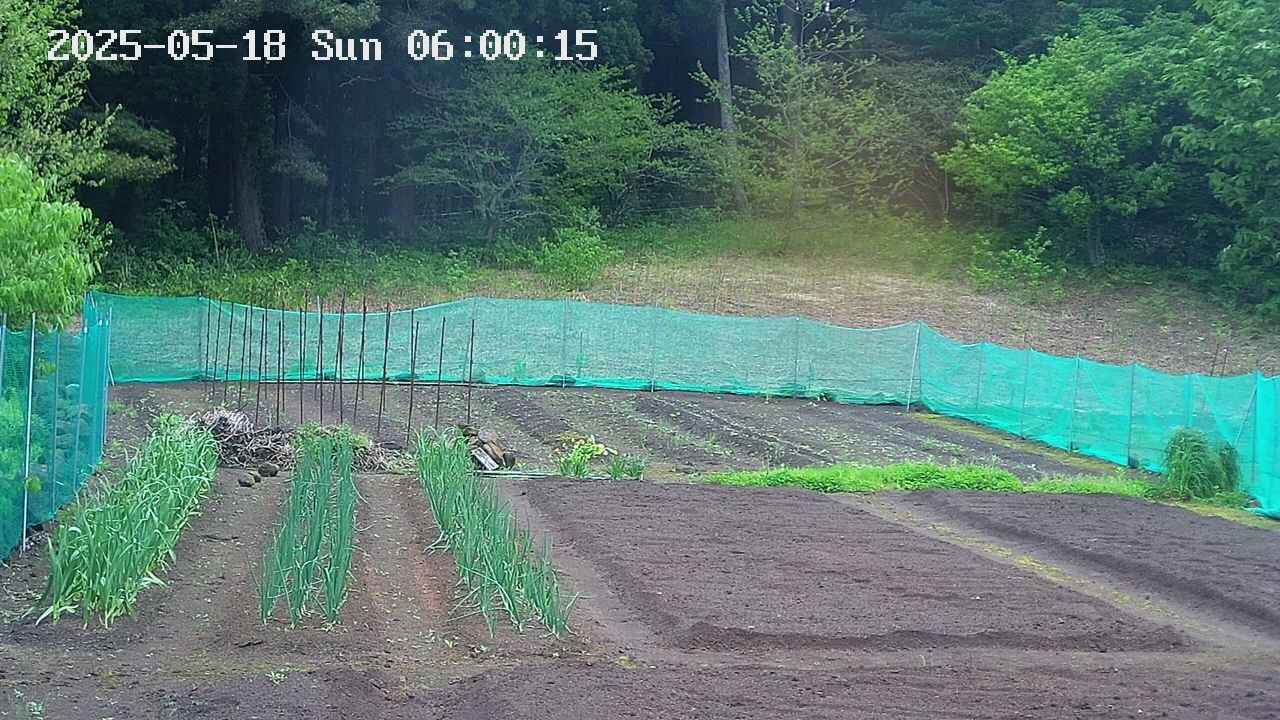 kannonmori-20250518060017.jpg