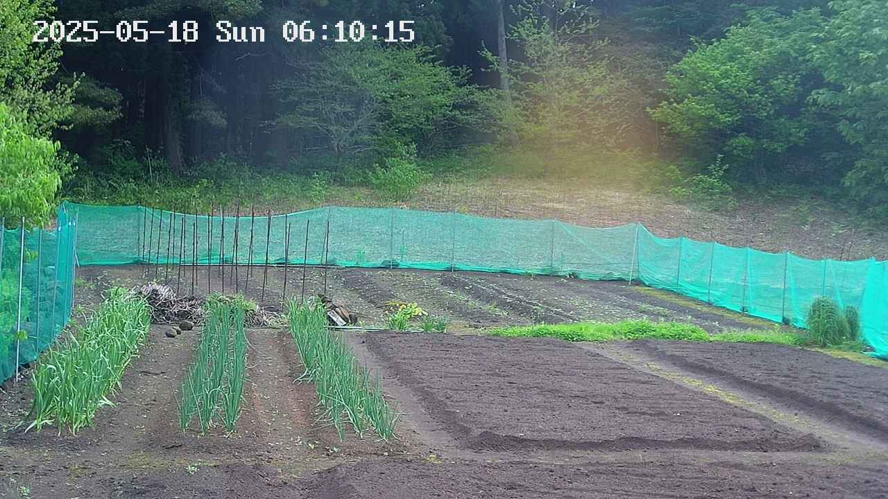 kannonmori-20250518061017.jpg