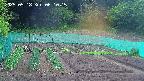 kannonmori-20250518061017.jpg