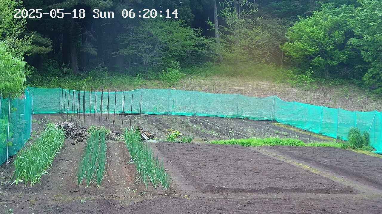 kannonmori-20250518062016.jpg