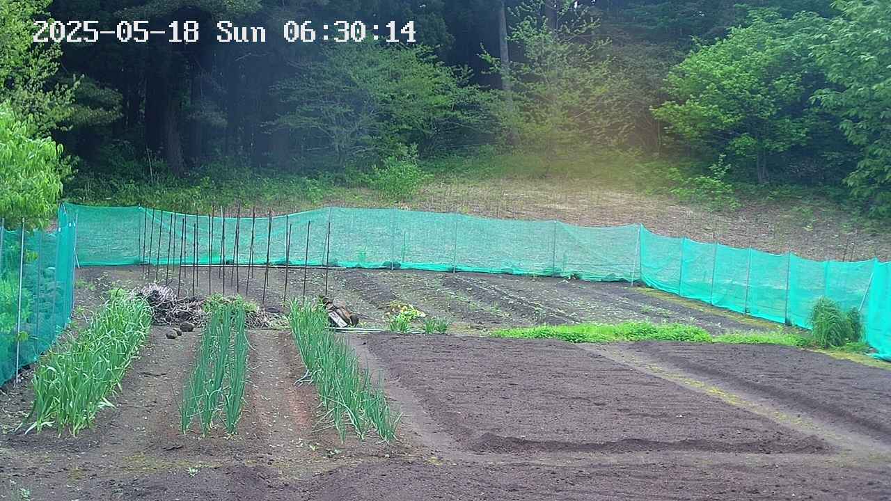 kannonmori-20250518063017.jpg
