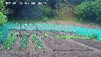 kannonmori-20250518064017.jpg