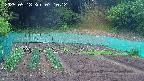 kannonmori-20250518071015.jpg