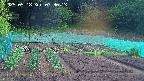 kannonmori-20250518073015.jpg