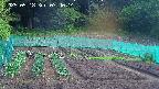 kannonmori-20250518074016.jpg