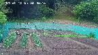kannonmori-20250518083017.jpg