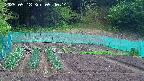 kannonmori-20250518094016.jpg