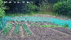 kannonmori-20250518100017.jpg