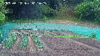 kannonmori-20250518101017.jpg