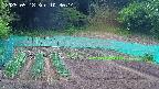 kannonmori-20250518103016.jpg