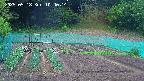 kannonmori-20250518104015.jpg