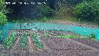 kannonmori-20250518111016.jpg