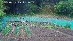 kannonmori-20250518112015.jpg