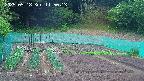 kannonmori-20250518115015.jpg