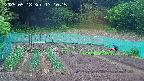 kannonmori-20250518131017.jpg