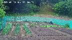 kannonmori-20250518134015.jpg