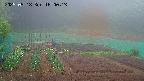 kannonmori-20250518180015.jpg