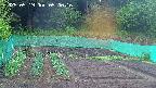 kannonmori-20250519050017.jpg