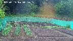 kannonmori-20250519051016.jpg