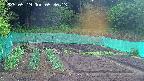 kannonmori-20250519053015.jpg