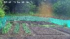 kannonmori-20250519054017.jpg