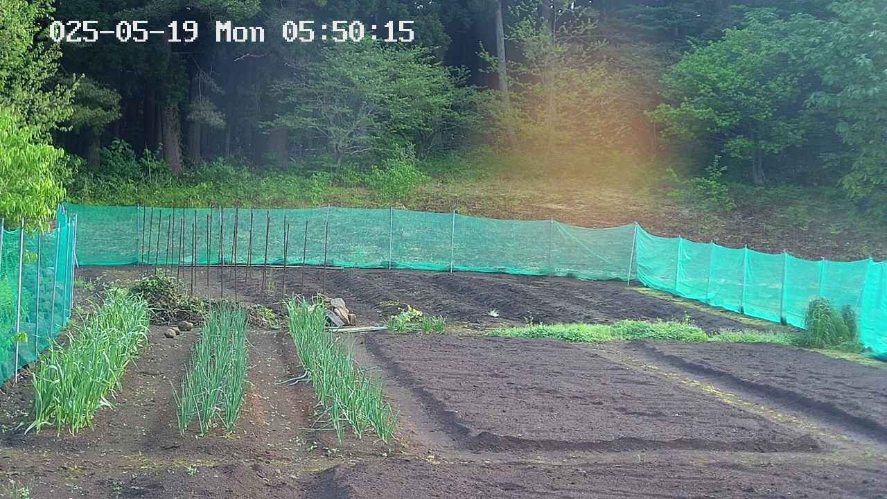 kannonmori-20250519055016.jpg
