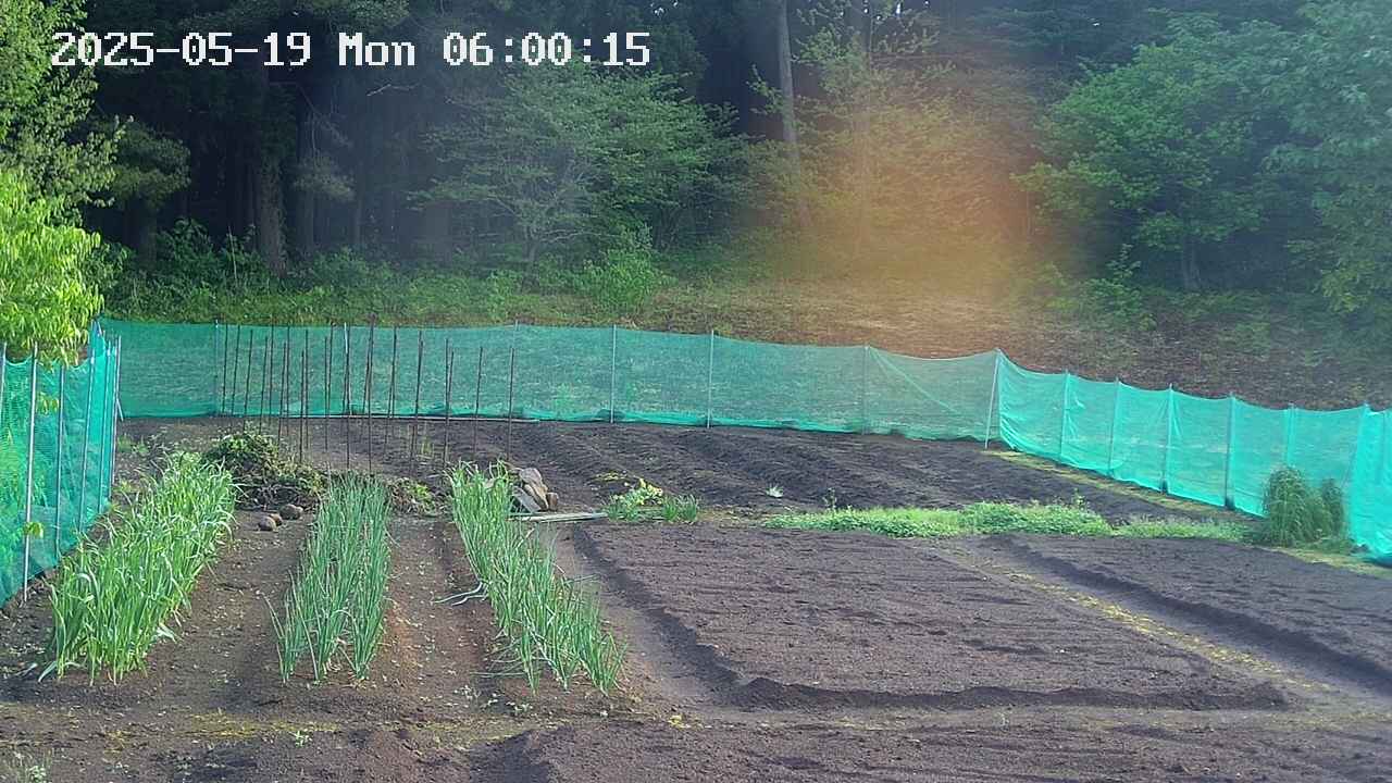 kannonmori-20250519060017.jpg