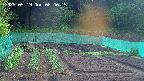 kannonmori-20250519060017.jpg