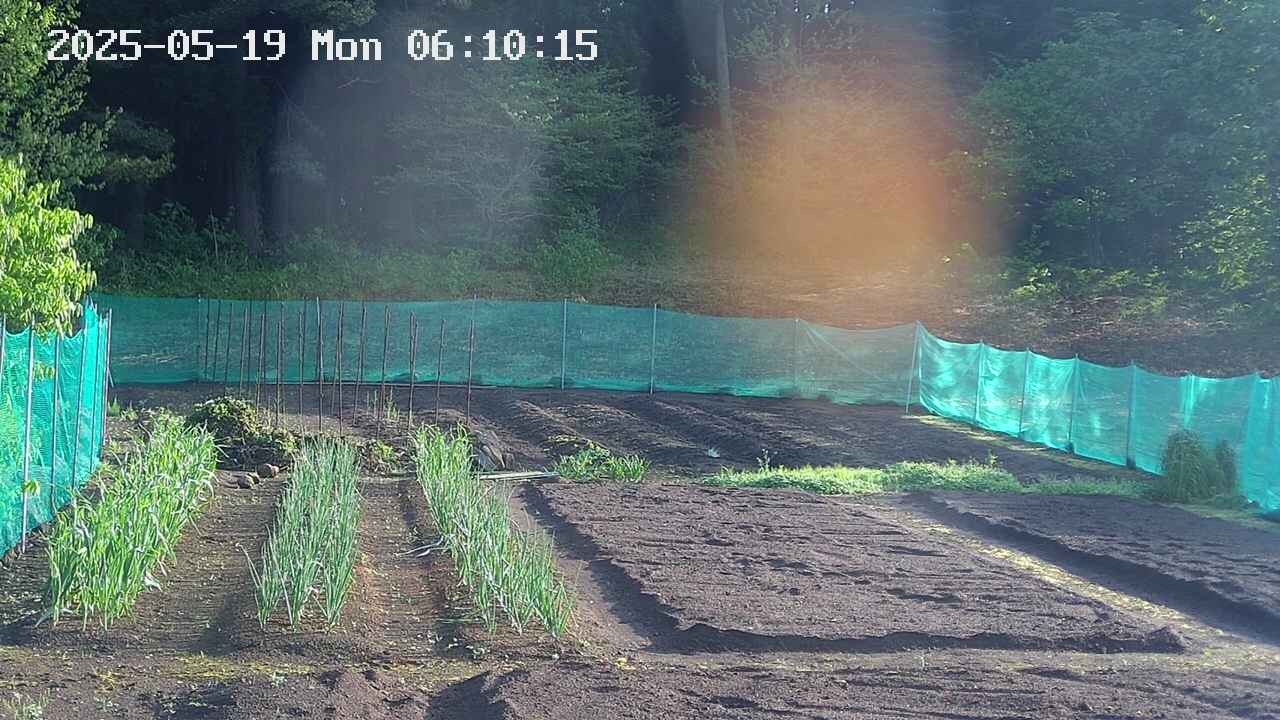 kannonmori-20250519061016.jpg