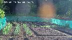 kannonmori-20250519061016.jpg