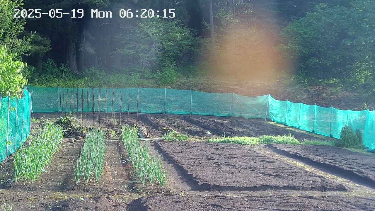 kannonmori-20250519062016.jpg
