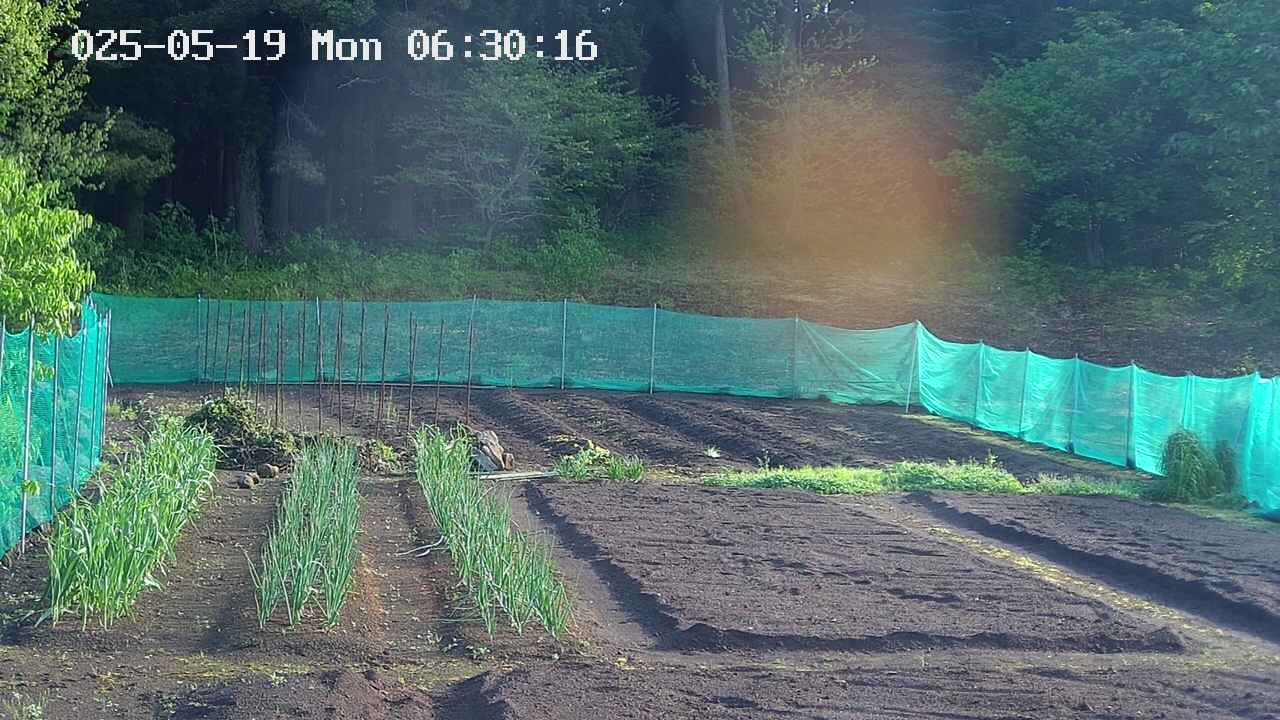 kannonmori-20250519063018.jpg