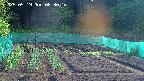 kannonmori-20250519063018.jpg