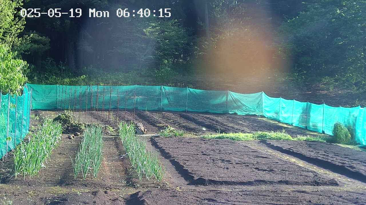 kannonmori-20250519064017.jpg