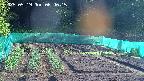 kannonmori-20250519064017.jpg